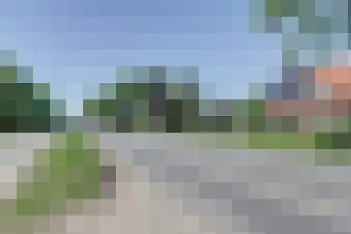 Sânpaed 33 Weidum thumbnail 33