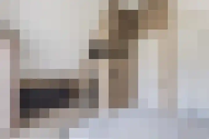 Sânpaed 33 Weidum thumbnail 33
