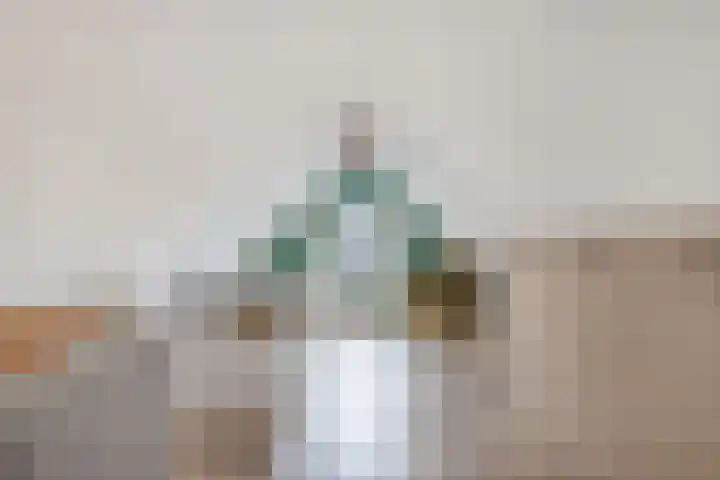 Sânpaed 33 Weidum thumbnail 34