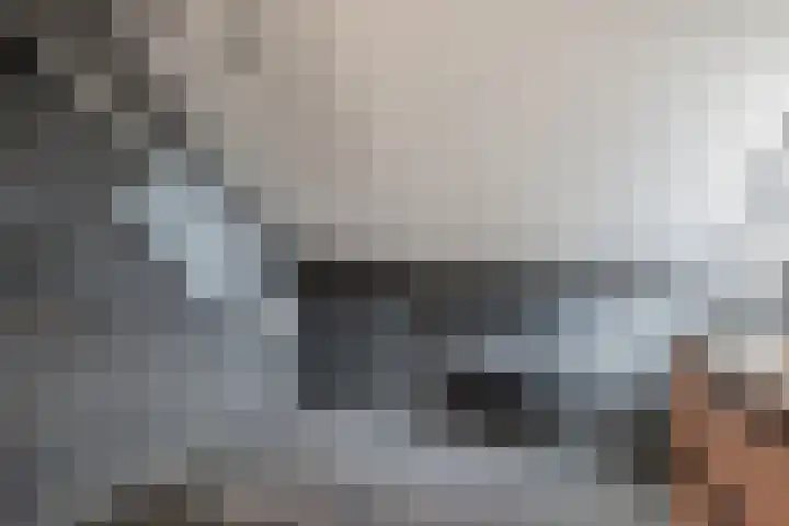 Sânpaed 33 Weidum thumbnail 37