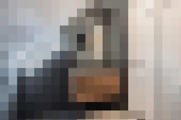 Sânpaed 33 Weidum thumbnail 38