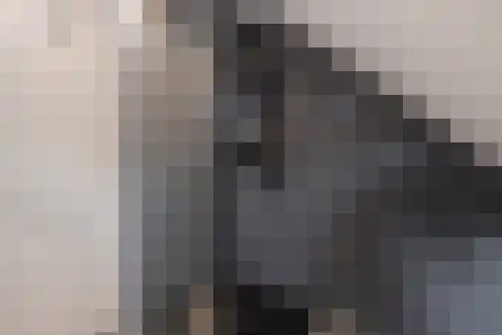 Sânpaed 33 Weidum thumbnail 39