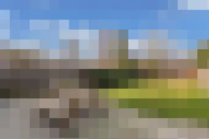 Sânpaed 33 Weidum thumbnail 41