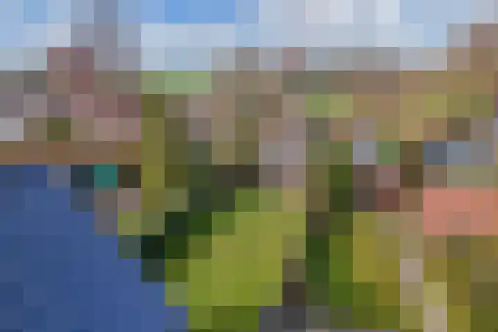 Sânpaed 33 Weidum thumbnail 42