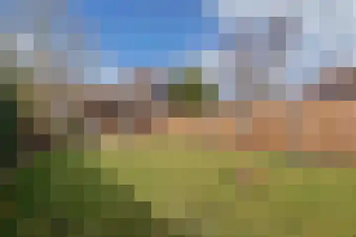 Sânpaed 33 Weidum thumbnail 43