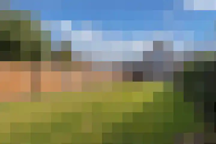 Sânpaed 33 Weidum thumbnail 44