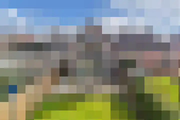 Sânpaed 33 Weidum thumbnail 47