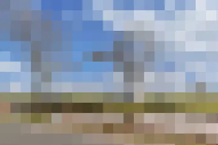 Sânpaed 33 Weidum thumbnail 49