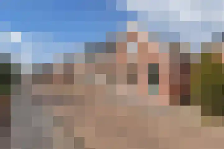 Sânpaed 33 Weidum thumbnail 7