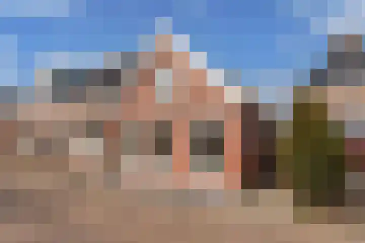 Sânpaed 33 Weidum thumbnail 8