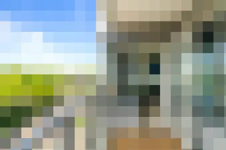 Sans Souci 48 Castricum thumbnail 11