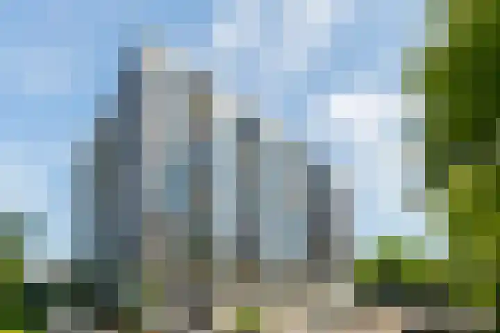 Sans Souci 48 Castricum thumbnail 29