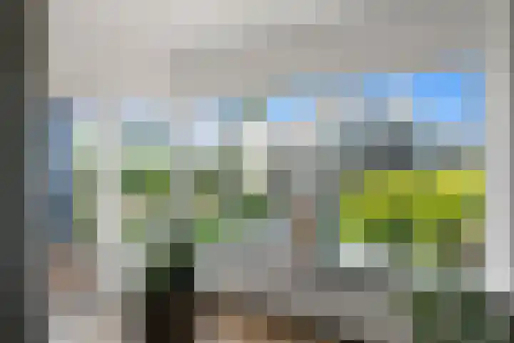 Sans Souci 48 Castricum thumbnail 6