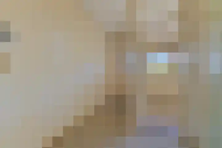 Santhorst 153 Leiderdorp thumbnail 10