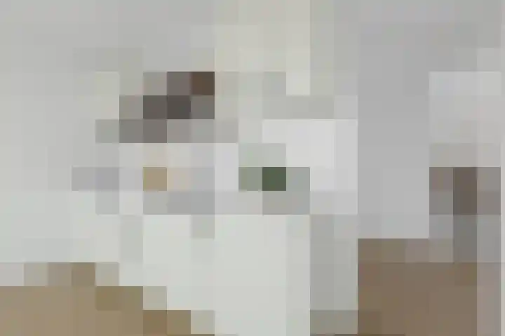 Santhorst 153 Leiderdorp thumbnail 12