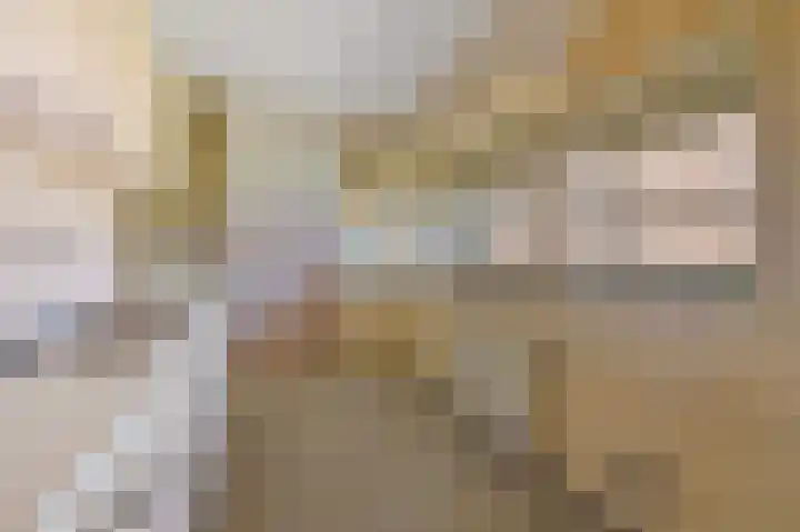 Santhorst 153 Leiderdorp thumbnail 13