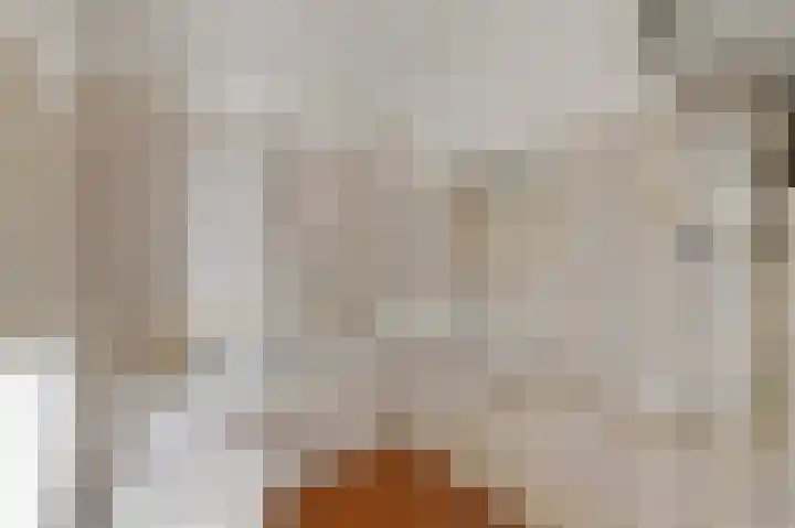 Santhorst 153 Leiderdorp thumbnail 25