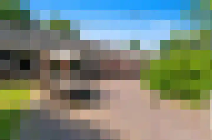 Santhorst 153 Leiderdorp thumbnail 43
