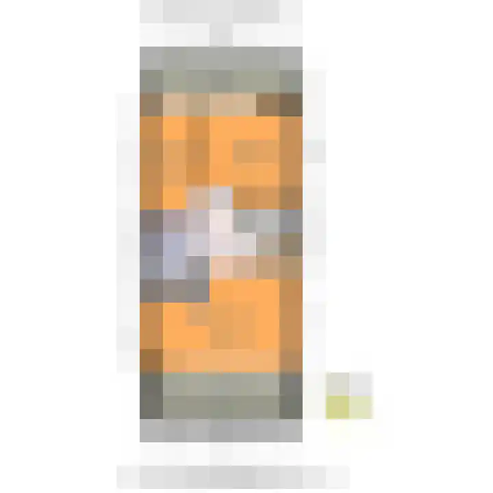 Santhorst 153 Leiderdorp thumbnail 48