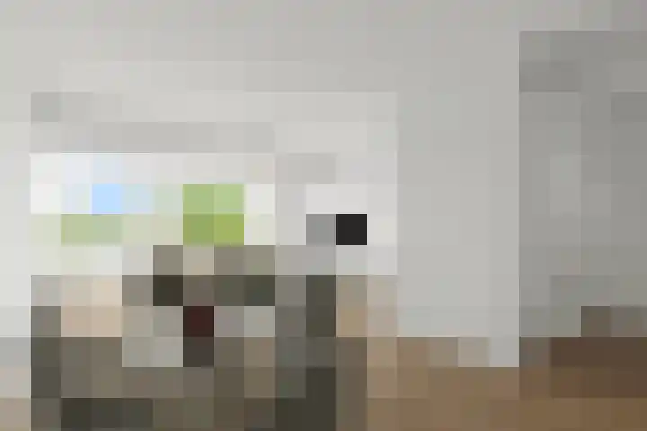 Santhorst 153 Leiderdorp thumbnail 8