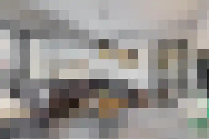 Santhorst 21 Leiderdorp thumbnail 10