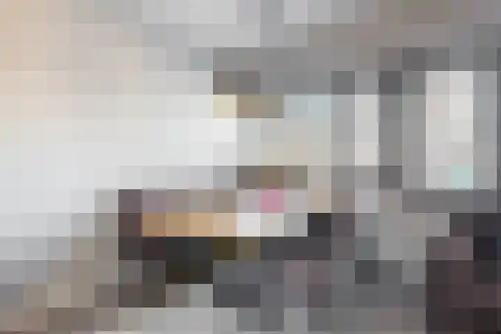 Santhorst 21 Leiderdorp thumbnail 11