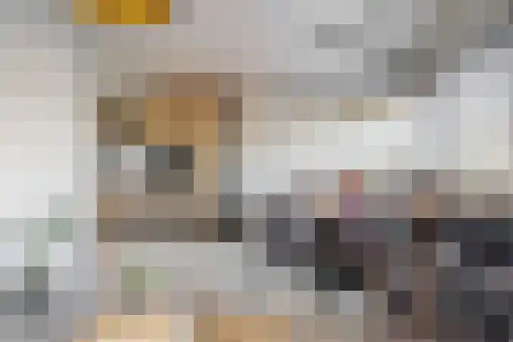 Santhorst 21 Leiderdorp thumbnail 12