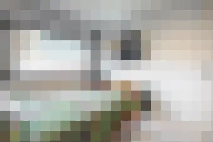 Santhorst 21 Leiderdorp thumbnail 15