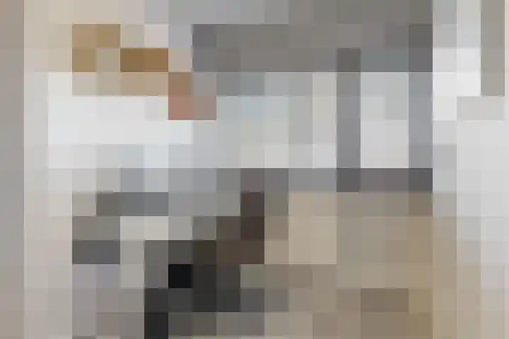Santhorst 21 Leiderdorp thumbnail 18