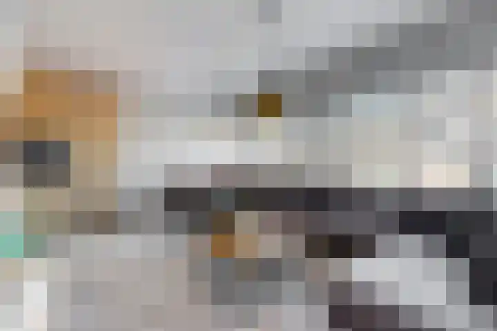 Santhorst 21 Leiderdorp foto 2