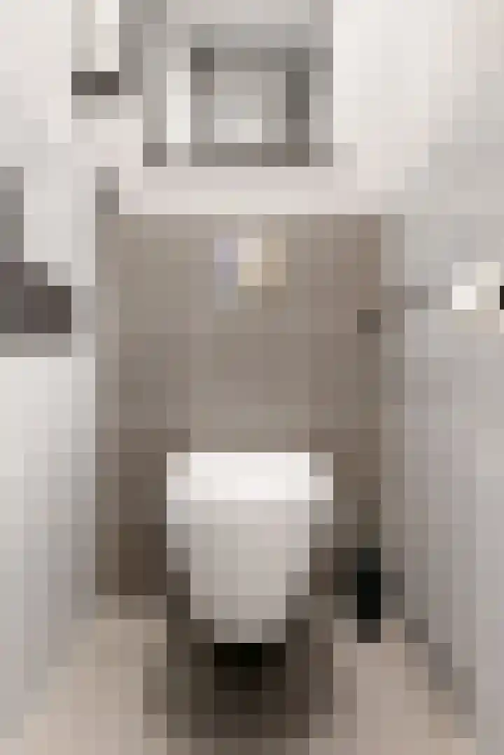 Santhorst 21 Leiderdorp thumbnail 23