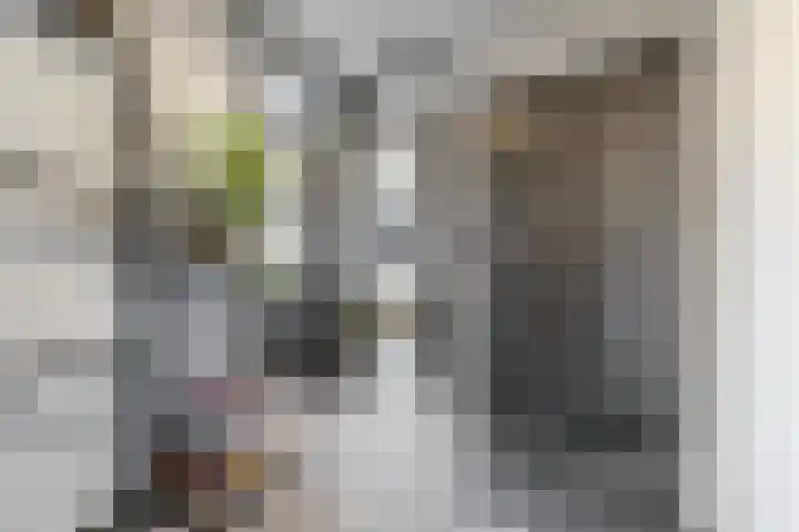 Santhorst 21 Leiderdorp thumbnail 8