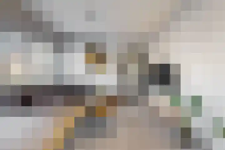 Santhorst 21 Leiderdorp thumbnail 9