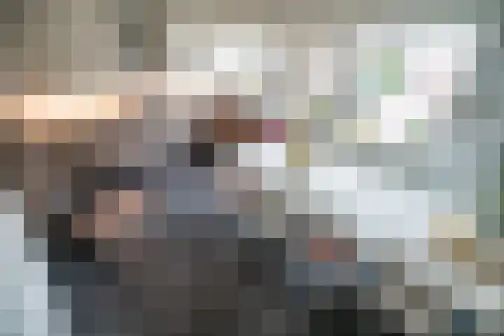Santhorst 5 Leiderdorp thumbnail 10