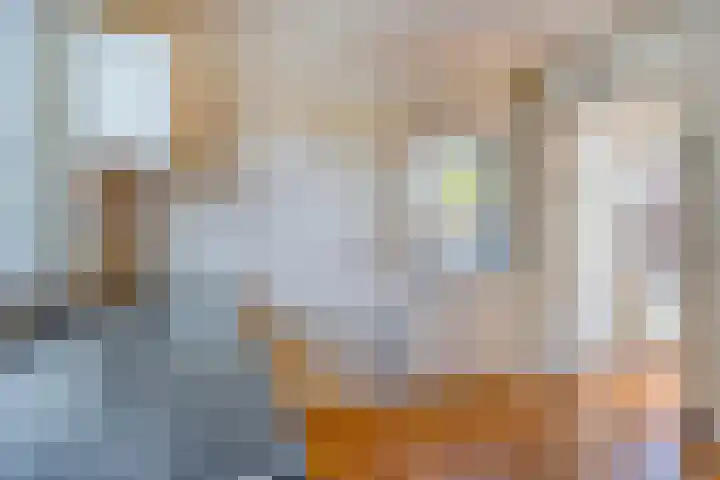 Santhorst 5 Leiderdorp thumbnail 16