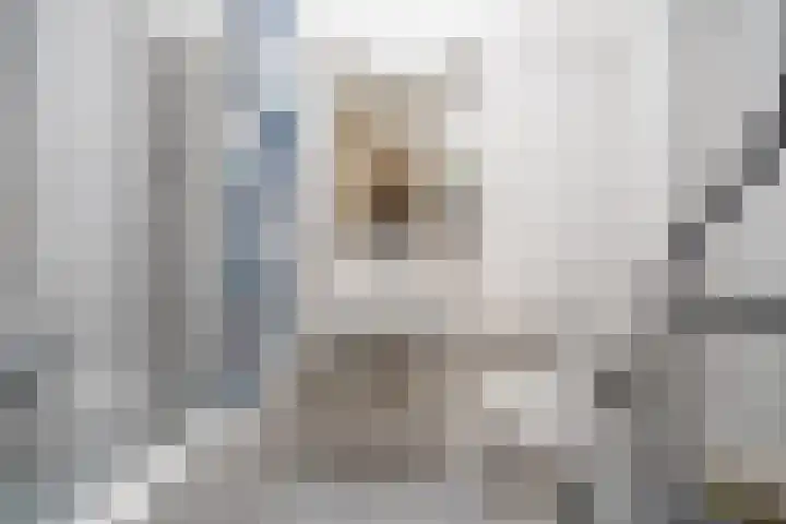 Santhorst 5 Leiderdorp thumbnail 21