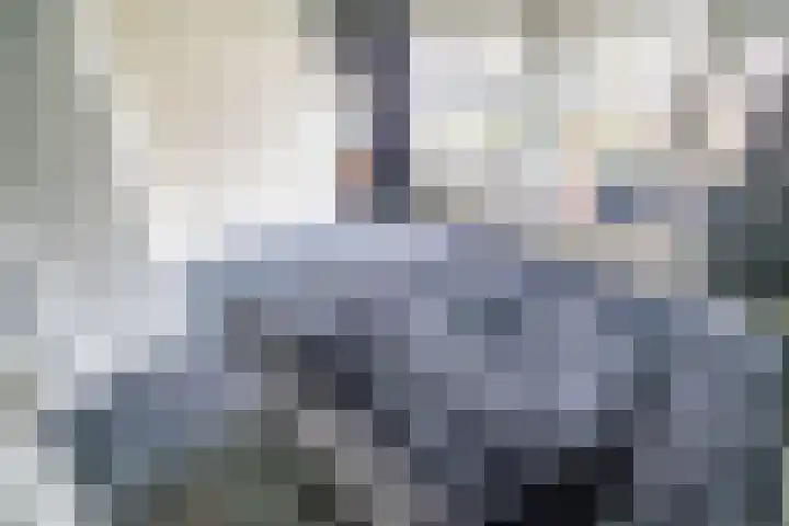 Santhorst 5 Leiderdorp thumbnail 25