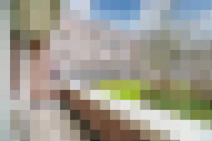 Santhorst 5 Leiderdorp thumbnail 26