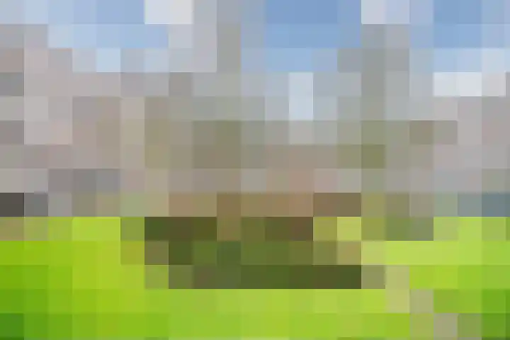 Santhorst 5 Leiderdorp thumbnail 27