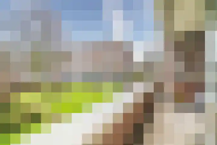 Santhorst 5 Leiderdorp thumbnail 28