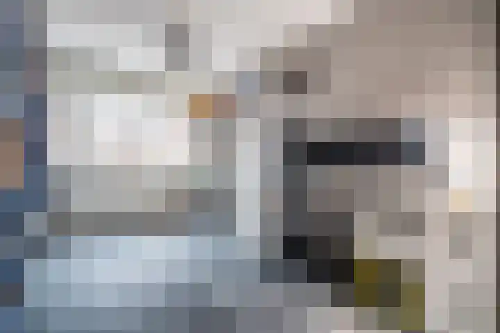 Santhorst 5 Leiderdorp thumbnail 35