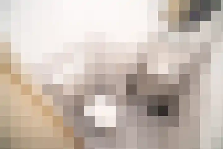 Santhorst 5 Leiderdorp thumbnail 39