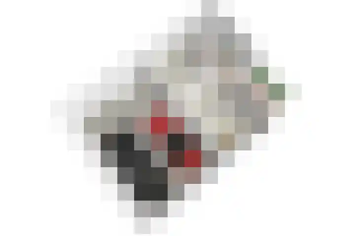 Santhorst 5 Leiderdorp thumbnail 47