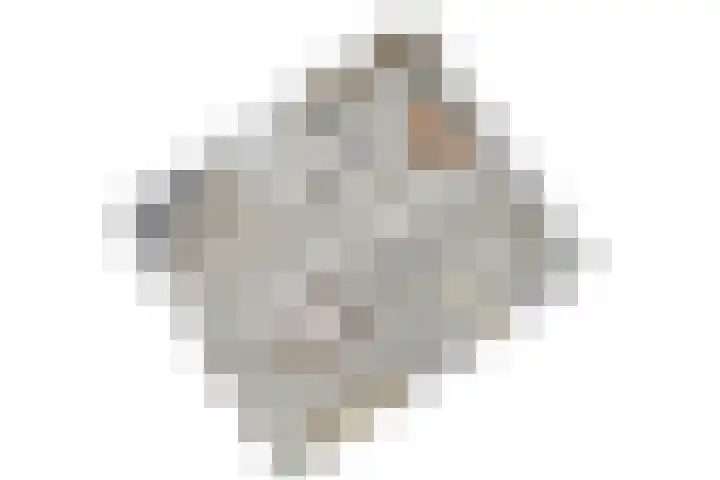Santhorst 5 Leiderdorp thumbnail 50