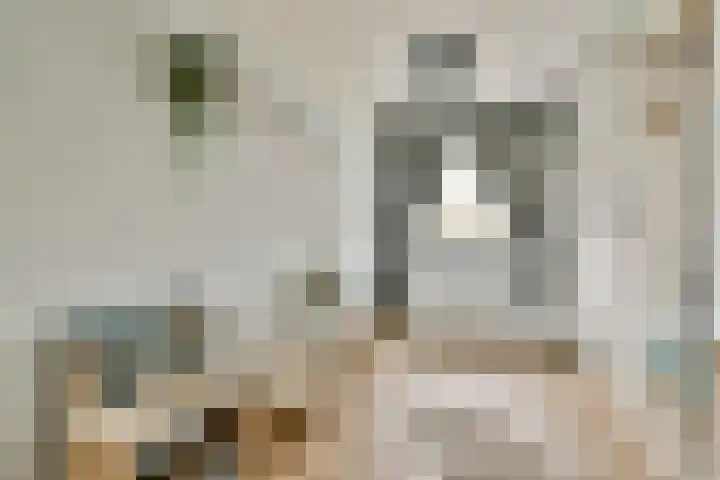 Santhorst 99 Leiderdorp thumbnail 14