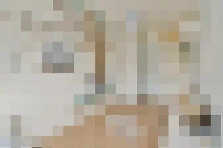 Santhorst 99 Leiderdorp thumbnail 15