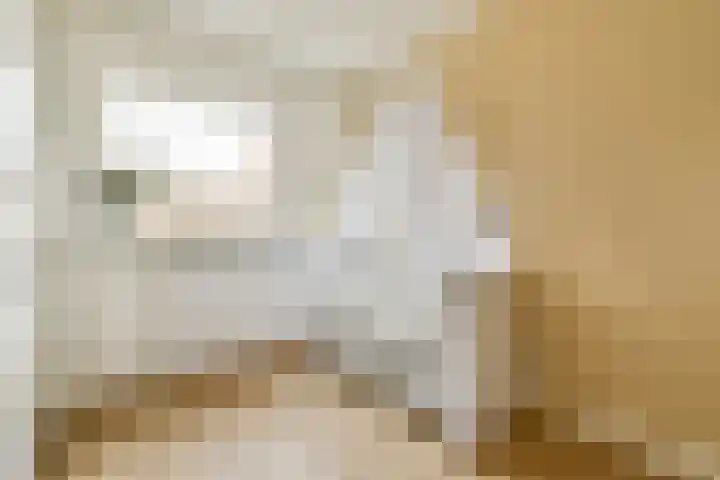 Santhorst 99 Leiderdorp thumbnail 16