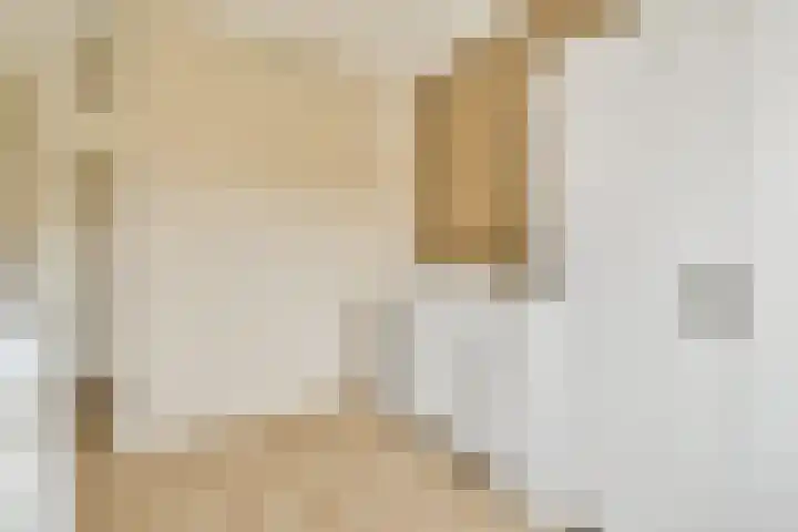 Santhorst 99 Leiderdorp thumbnail 17