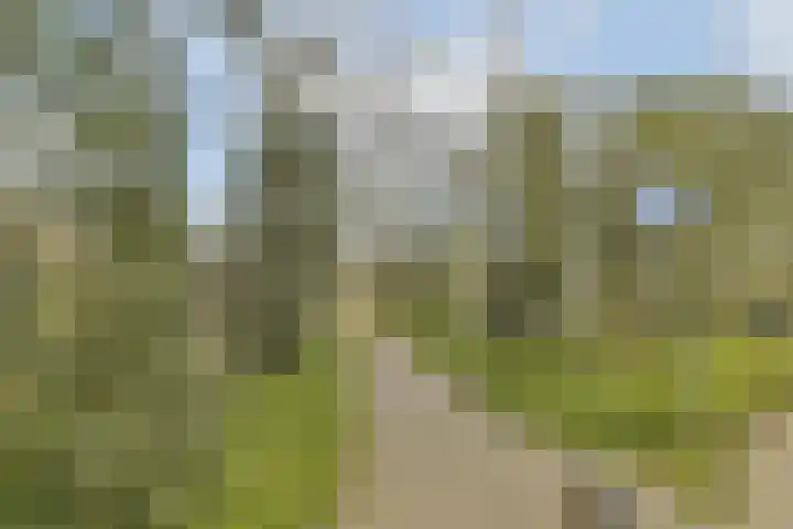Santhorst 99 Leiderdorp thumbnail 20