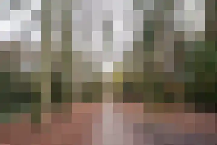 Santhorst 99 Leiderdorp thumbnail 23